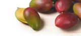 Mango im Angebot bei tegut in Rodgau Mango Angebote von Bio bei tegut Rodgau für 1,99 €