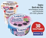 Quark oder skyl Angebote von Exquisa bei E center Fürth