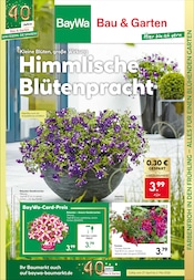 Aktueller BayWa Bau- und Gartenmärkte Prospekt mit Balkonpflanzen, "Traumterrasse in jedem Fall", Seite 11