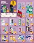 Shampoo Shampoo