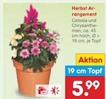 Herbst Arrangement bei Netto Marken-Discount im Prospekt "" für 5,99 €