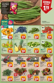 Farbe im REWE Prospekt in Laatzen Aktueller REWE Prospekt mit Farbe, "Dein Markt", Seite 9