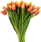 Großbund Tulpen bei Netto Marken-Discount im Prospekt "" für 4,99 €