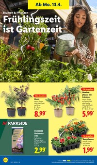 Gartenerde im Lidl Prospekt "LIDL LOHNT SICH" mit 70 Seiten (Kiel)