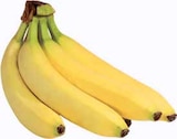 E center Garmisch-Partenkirchen - Bio-Bananen Angebot im Prospekt Bio-Bananen bei E center im Garmisch-Partenkirchen Prospekt für 1,99 €