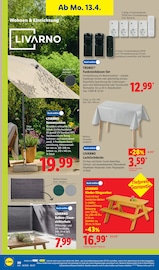 Aktueller Lidl Prospekt mit Garten, "LIDL LOHNT SICH", Seite 38