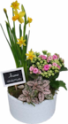 Promo Composition de printemps avec coupe en céramique à 19,99 € dans le catalogue Botanic à Grand Menil
