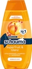 Shampoo von Schauma im aktuellen Netto mit dem Scottie Prospekt