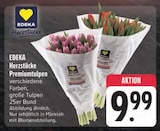 Aktuelles Premiumtulpen Angebot bei E center in Jena ab 9,99 €