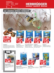 Schmuck im Herbrügger Prospekt in Hemer Aktueller Herbrügger Prospekt mit Schmuck, "MIT POWER, ORDNUNG UND SAUBERKEIT INS NEUE JAHR!", Seite 16