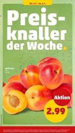 Kohle im Penny Prospekt in München Aktueller Penny Prospekt mit Kohle, "Wer günstig will, muss Penny.", Seite 39