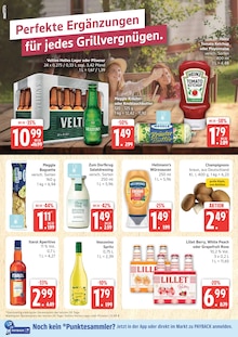 Pilze Angebot im aktuellen Marktkauf Prospekt auf Seite 6