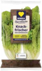 Mini Romanasalat im Marktkauf Prospekt Mini Romanasalat von EDEKA Herzstücke im aktuellen Marktkauf Prospekt für 0,99 €