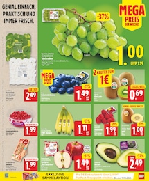 Kohl Angebot & Preis im aktuellen EDEKA Prospekt Kohl Angebot im aktuellen EDEKA Prospekt auf Seite 2