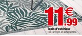 Tapis d'extérieur - Bazarland à Meyzieu Tapis d'extérieur en promo chez Bazarland Meyzieu à 11,99 €