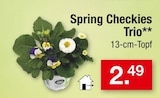 Spring Checkies Trio Angebote bei Zimmermann Mainz für 2,49 €