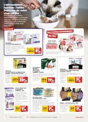 Saucisse Angebote im Prospekt "Vague de promotions !" von Animalis Saucisse Angebote im Prospekt "Vague de promotions !" von Animalis auf Seite 3