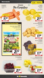 Mixer im EDEKA Prospekt in Warendorf Aktueller EDEKA Prospekt mit Mixer, "Aktuelle Angebote", Seite 5