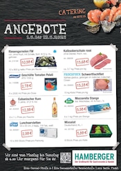 Fischfilet Angebote im Prospekt "Catering & Bestes aus aller Welt" von Hamberger Fischfilet Angebote im Prospekt "Catering & Bestes aus aller Welt" von Hamberger auf Seite 3
