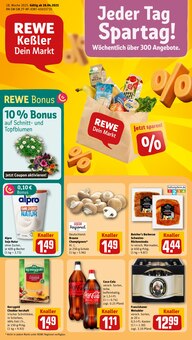 REWE Prospekt Dein Markt mit 30 Seiten