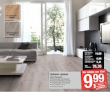 Aktuelles BoDomo Laminat Angebot bei LaminatDEPOT in Hamm ab 9,99 €