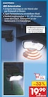 Aktuelles LED-Solarstrahler Angebot bei Netto Marken-Discount in Dresden ab 19,99 €