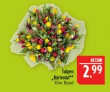 Tulpen "Karneval" im Angebot bei Marktkauf in Altenburg Tulpen "Karneval" Angebote bei Marktkauf Altenburg für 2,99 €