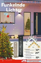 Dekoration Angebot im aktuellen Hellweg Prospekt auf Seite 2
