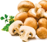 Aktuelles Kulturchampignons braun Angebot bei Netto mit dem Scottie in Berlin ab 1,29 €