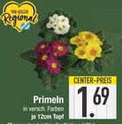 Aktuelle Pflanzen Angebote bei E center in Augsburg Aktuelles Primeln Angebot bei E center in Augsburg ab 1,69 €