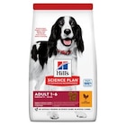 Croquette pour chien adulte au poulet Hill's - 12 kg - HILL'S à 62,04 € dans le catalogue Botanic
