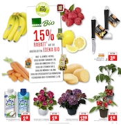 Aktueller Marktkauf Prospekt mit Gemüse, "Aktuelle Angebote", Seite 7