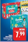 Baby-Dry Pants von Pampers im aktuellen Marktkauf Prospekt