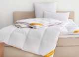 deLuxe Gänsefeder-/Daunen-Kopfkissen Angebote von Balette bei Lidl Celle für 37,99 €