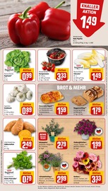 Balkonpflanzen im REWE Prospekt in Siegen Aktueller REWE Prospekt mit Balkonpflanzen, "Dein Markt", Seite 9