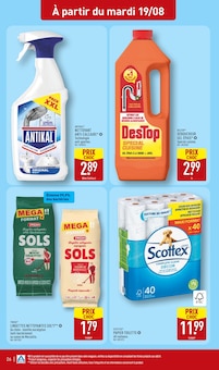 Promo Spray Nettoyant dans le catalogue Aldi du moment à la page 26