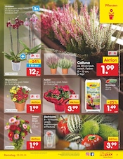 Aktueller Netto Marken-Discount Prospekt mit Baustoffe, "Aktuelle Angebote", Seite 9