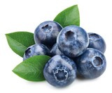 Bio Heidelbeeren Angebote bei REWE Bergheim für 2,49 €