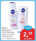 Shampoo oder Spülung von Nivea im aktuellen budni Prospekt
