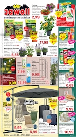 Jawoll Discounter Prospekt der aktuellen Woche mit 12 Seiten, gültig von 22.06.2026 bis 27.06.2026, in Schenefeld und Umgebung Aktueller Jawoll Discounter Prospekt in Schenefeld und Umgebung, "Sonderposten-Märkte" mit 12 Seiten, 22.06.2026 - 27.06.2026