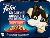 Katzennahrung Multipack im Angebot bei Netto Marken-Discount in Kassel Katzennahrung Multipack Angebote von Felix bei Netto Marken-Discount Kassel für 3,99 €