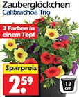 Angebot im Wreesmann Meißen Prospekt Wreesmann Meißen Prospekt mit im Angebot für 2,59 €