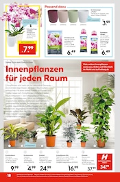 Aktueller Hellweg Prospekt mit Gartenerde, "Entscheiden Sie selbst", Seite 20