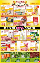 Aktueller Norma Prospekt mit Glas, "Mehr fürs Geld", Seite 11