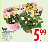 Rosen 'Dolc Amore' im EDEKA Prospekt Rosen 'Dolc Amore' von im aktuellen EDEKA Prospekt für 5,99 €