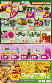 Poulet Angebote im Prospekt "Votre Discounter Régional" von Norma Poulet Angebote im Prospekt "Votre Discounter Régional" von Norma auf Seite 4
