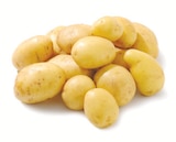Speisefrühkartoffeln bei Netto mit dem Scottie im Potsdam Prospekt für 3,99 €