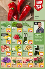 Ähnliche Angebote wie Tulpen im Prospekt "Dein Markt" auf Seite 7 von REWE in Ludwigshafen