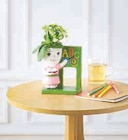Promo Kalanchoe Figurine Professeur à 6,99 € dans le catalogue U Express à Chanas
