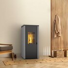 Poêle à granulés Canadian Spa Company Brigitte 8.3kW gris 90 m²(u) - Canadian Spa en promo chez Castorama Poêle à granulés Canadian Spa Company Brigitte 8.3kW gris 90 m²(u) - Canadian Spa dans le catalogue Castorama